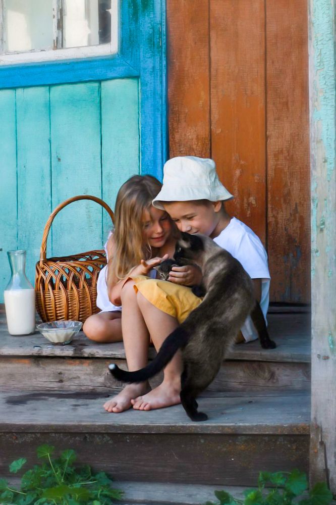 Photograph by Мария Ткаченко