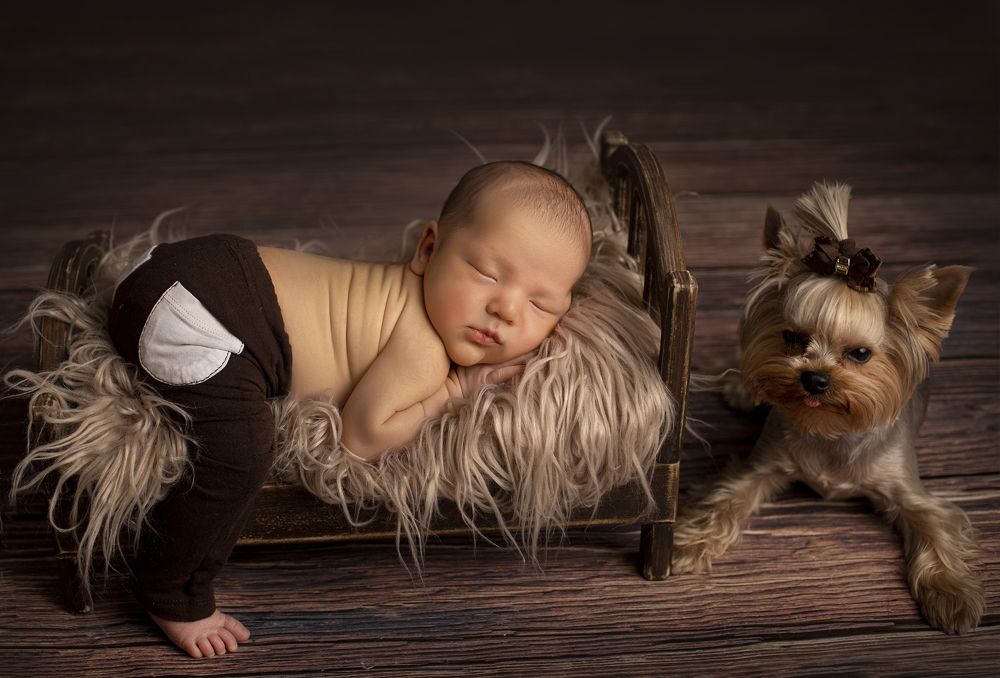 Photograph by Кристина Ашуева