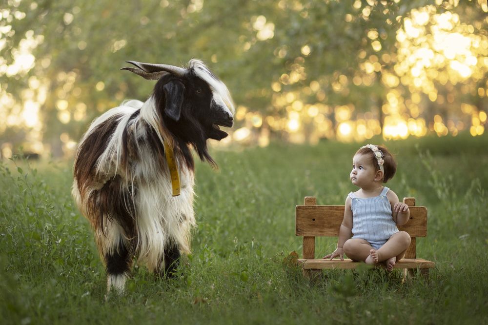 Photograph by Rocio Rodriguez