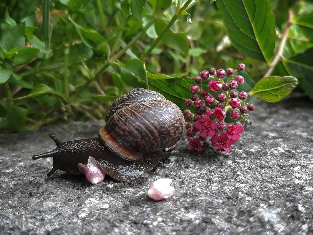 Photograph by Анастасия Котлярова