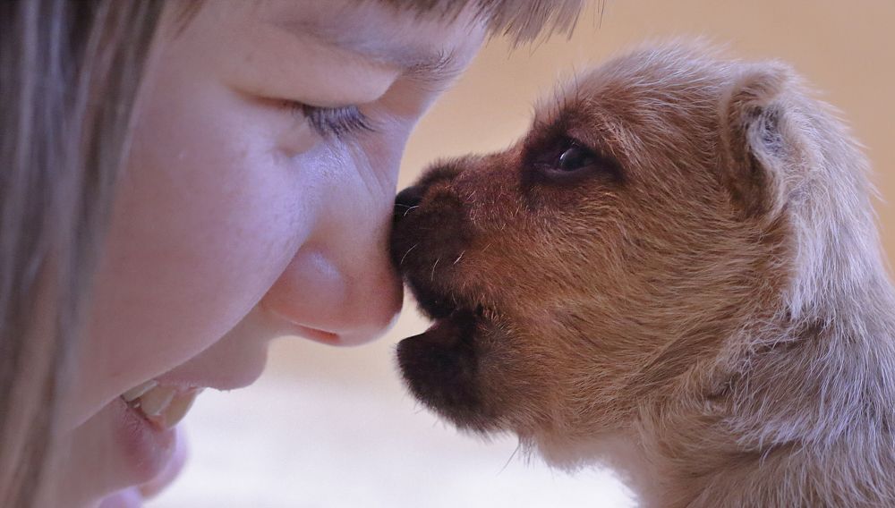 Мы с тобой одной крови...