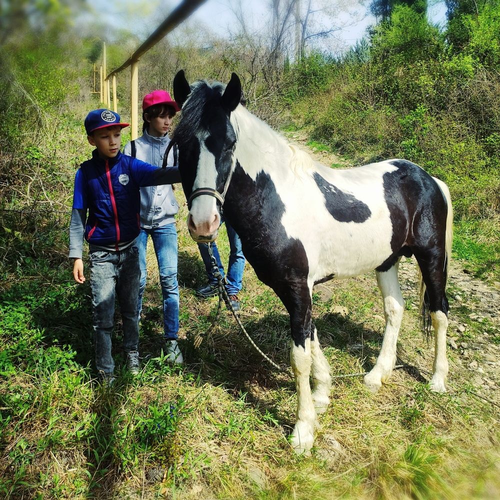 Photograph by Николай Ковальчук