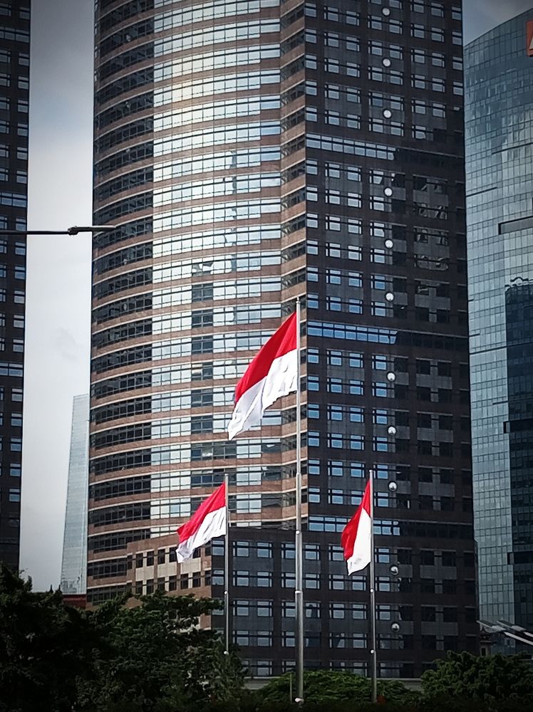 Proud to be Red and White