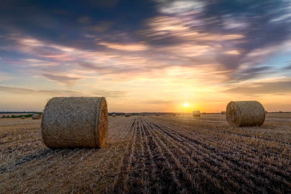 Фотография автора Александр Хрипушин