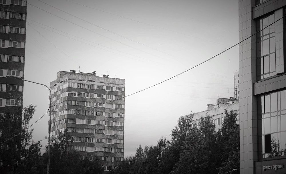 Photograph by Алексей Радутный