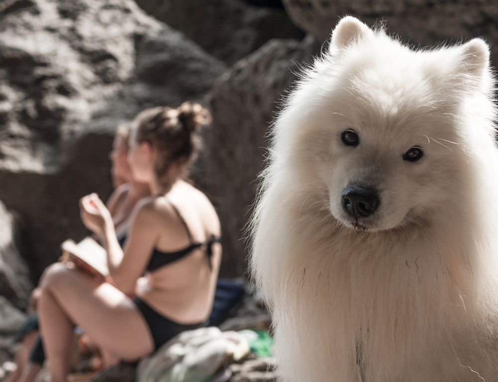 Photograph by Виктор Черкасов