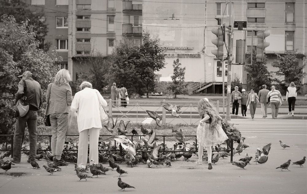 Photograph by Алексей Радутный