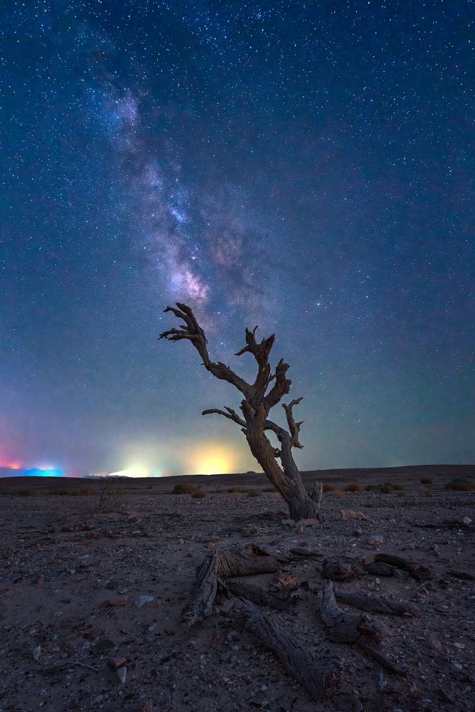 Photograph by Arie Burla