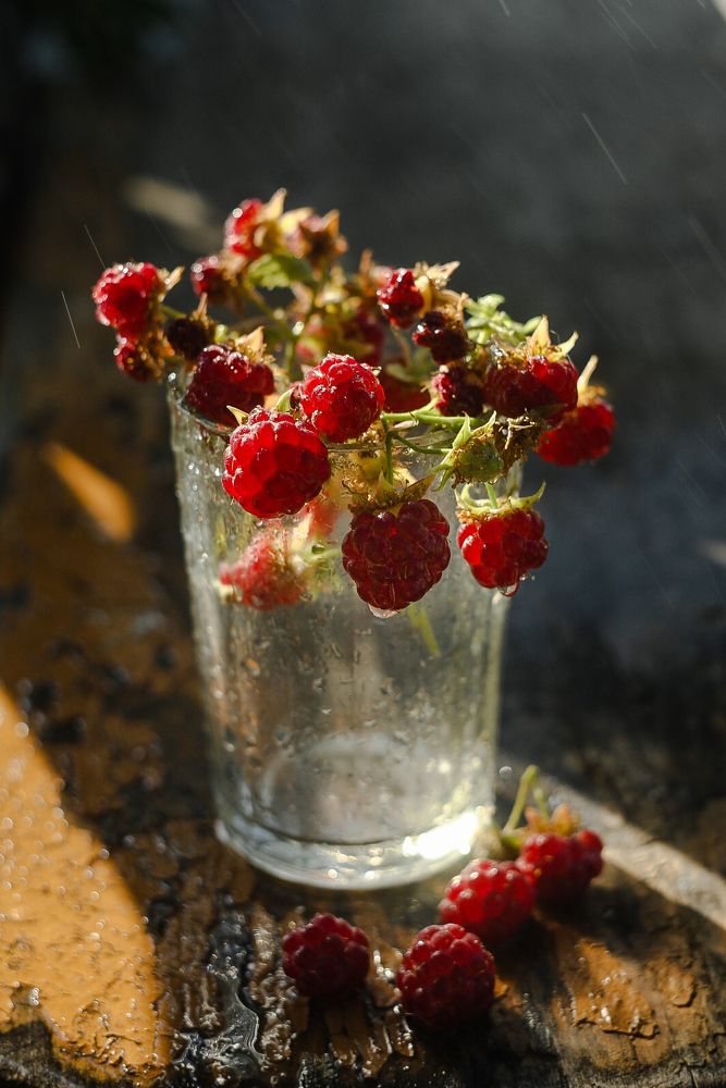 Фотография автора Ксения Лепина