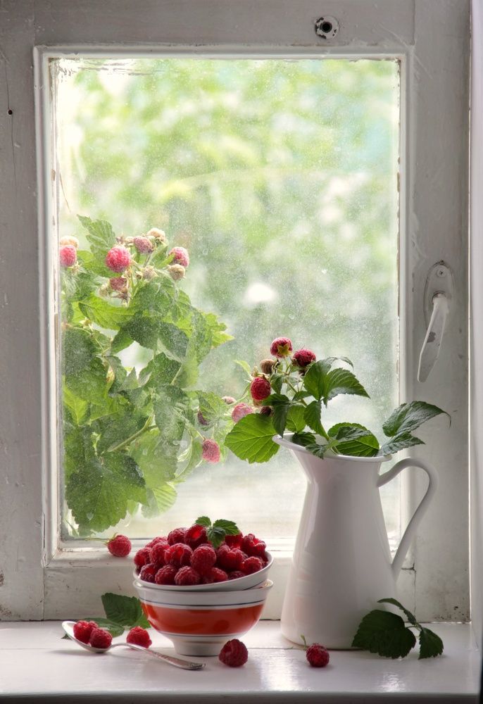 Photograph by Елена Доянова