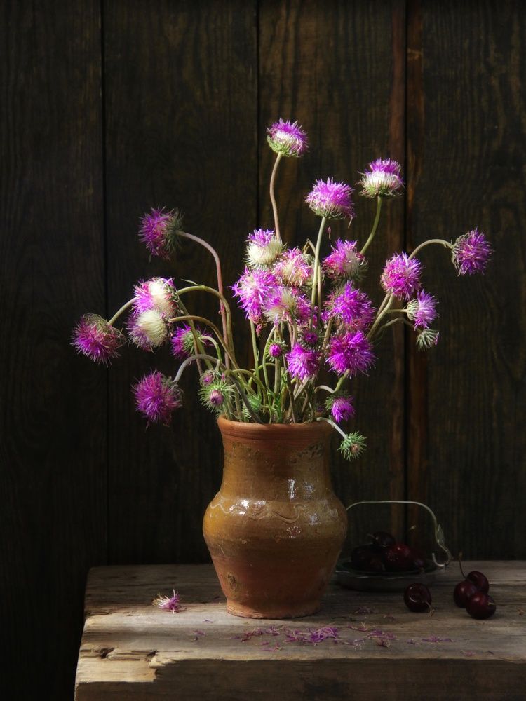 Фотография автора Елена Доянова