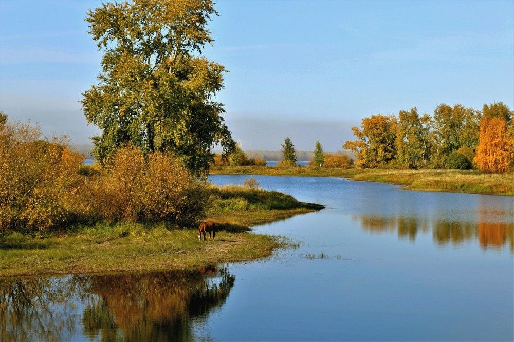 Photograph by Татьяна Ижмукова