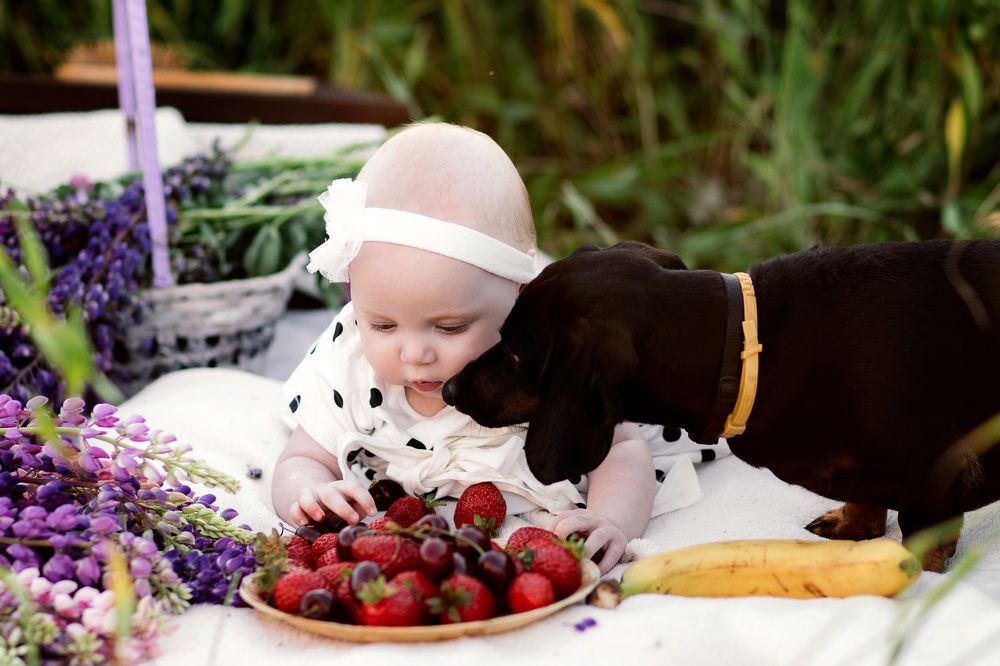 Photograph by Наталья Кучина