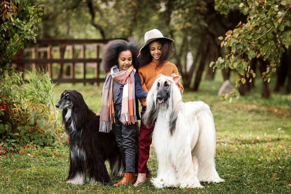 Photograph by Наталья Кучина