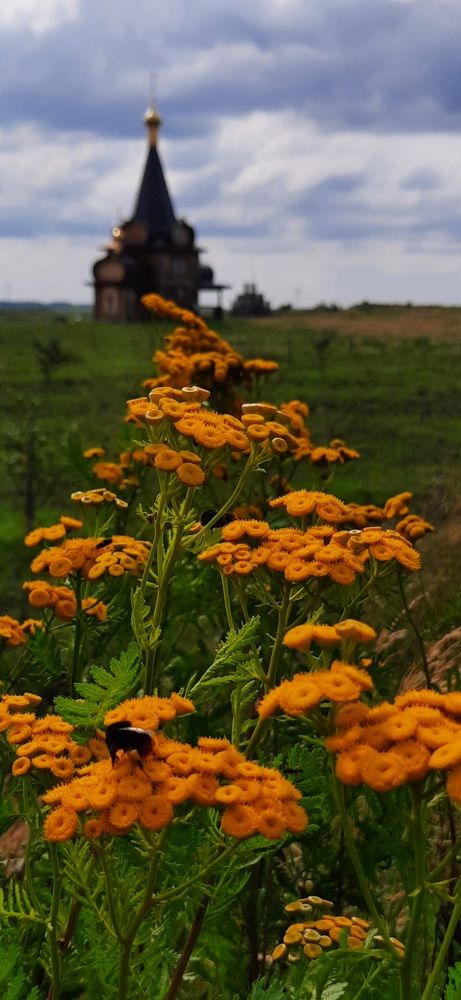 Photograph by Ольга