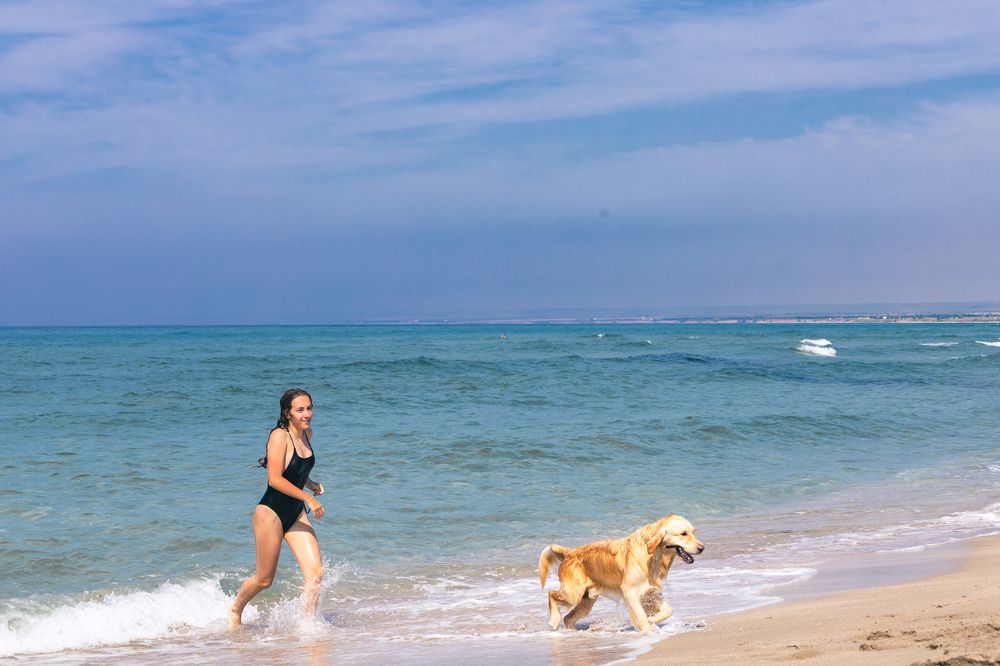 Photograph by Александр Вдовенко