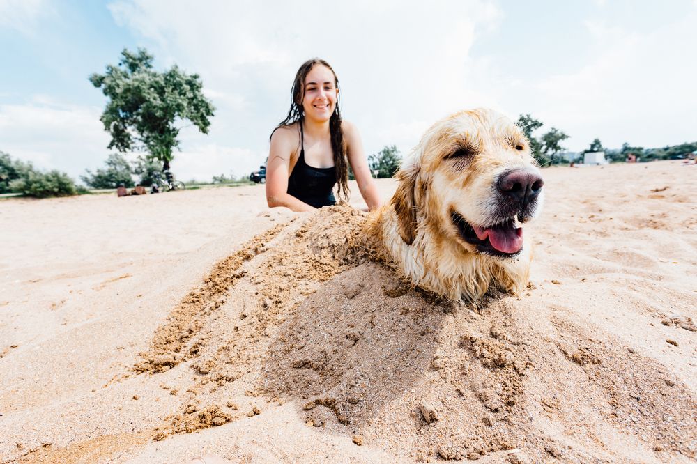 Photograph by Александр Вдовенко