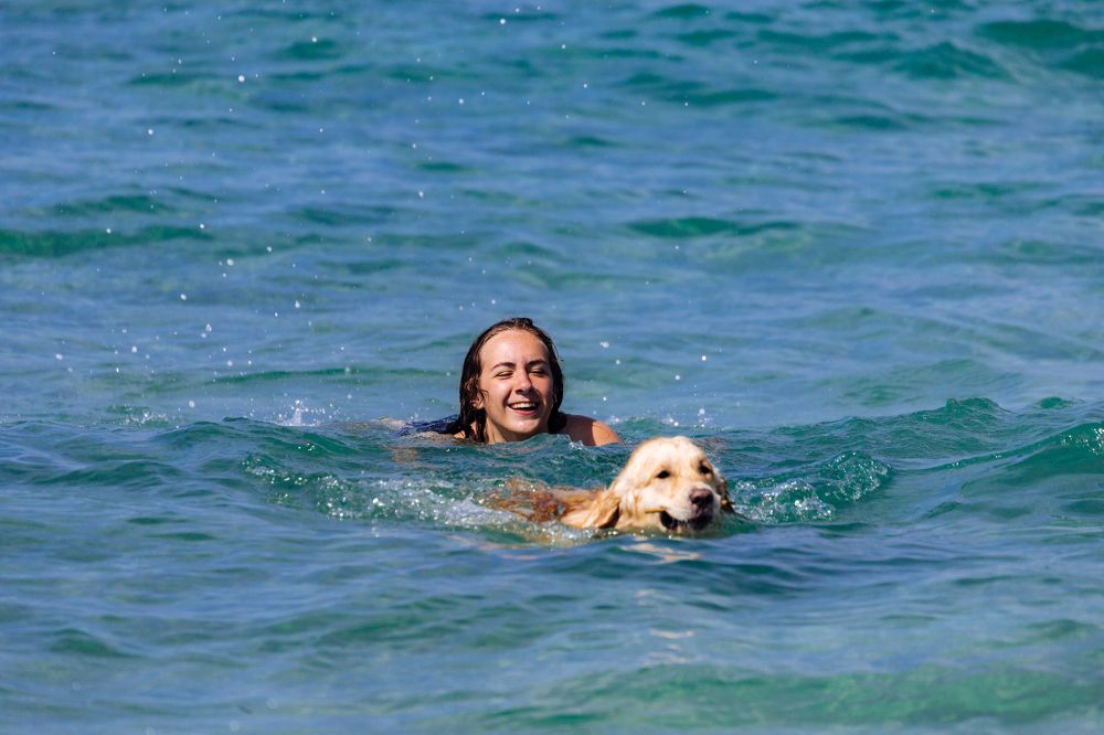 Photograph by Александр Вдовенко