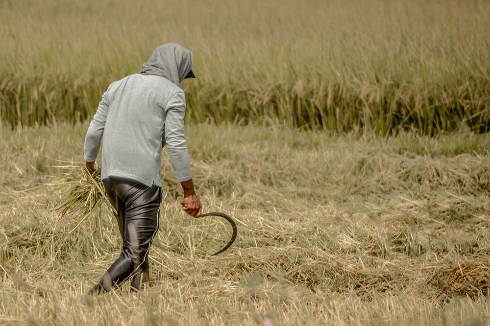 Photograph by NISATH BASRI