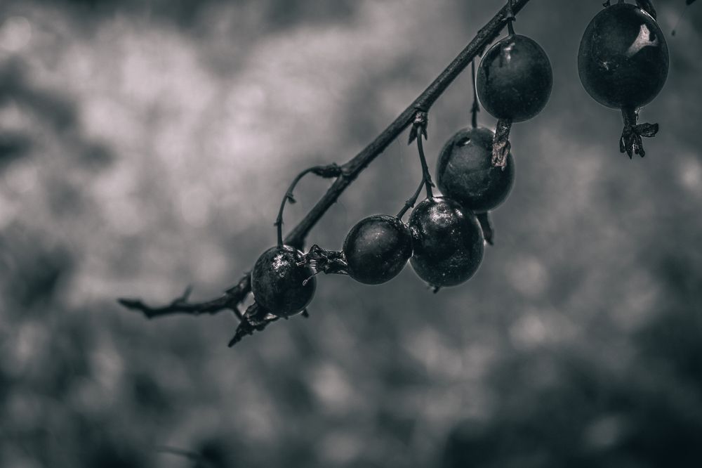 Photograph by Кристина Полякова