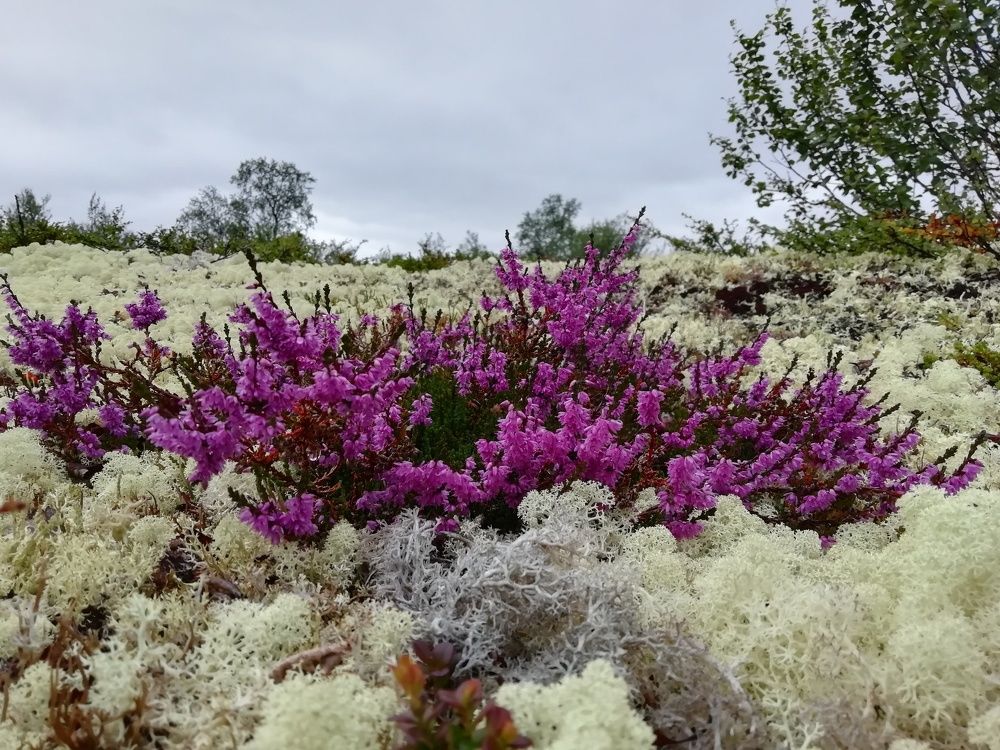 Photograph by Светлана