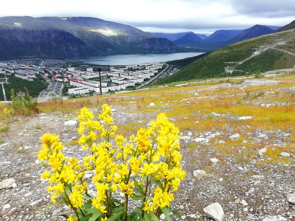 Photograph by Светлана