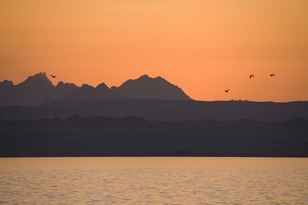 Photograph by Оксана Каменская