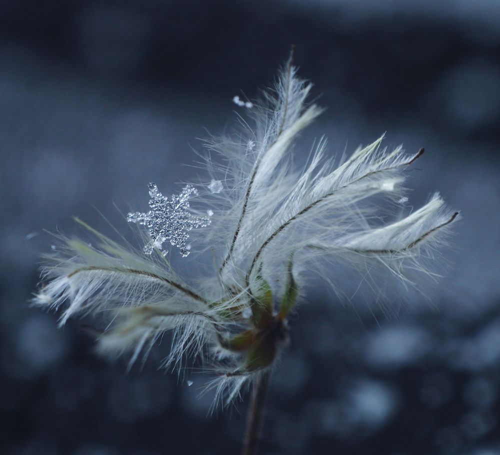 Photograph by Ольга Еженевская