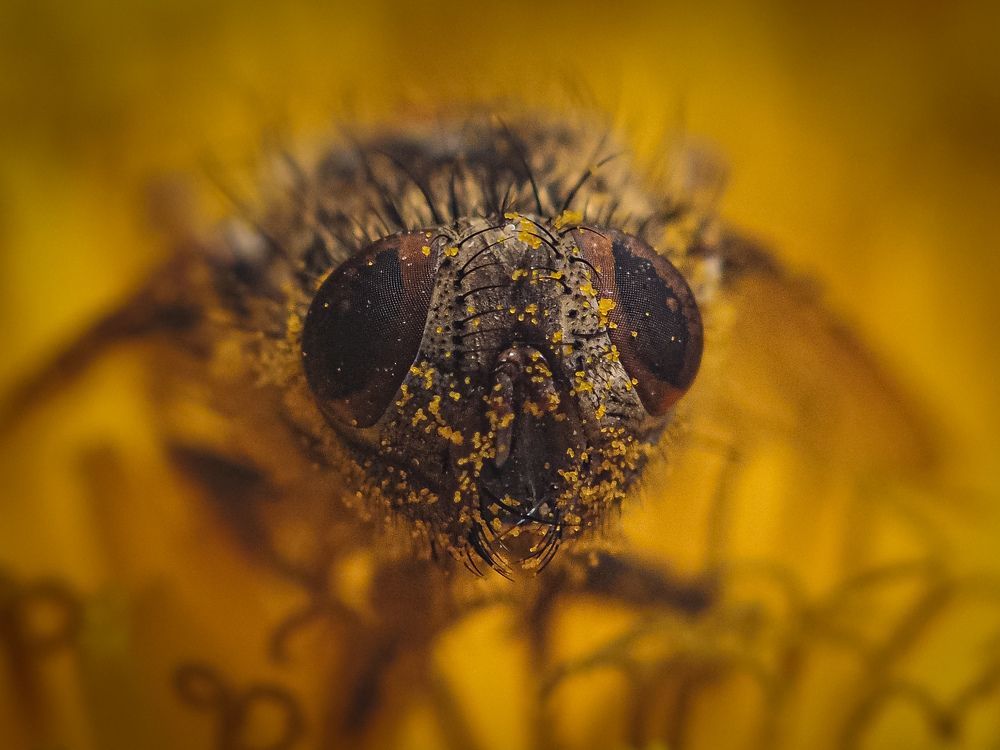 Photograph by Ольга Еженевская