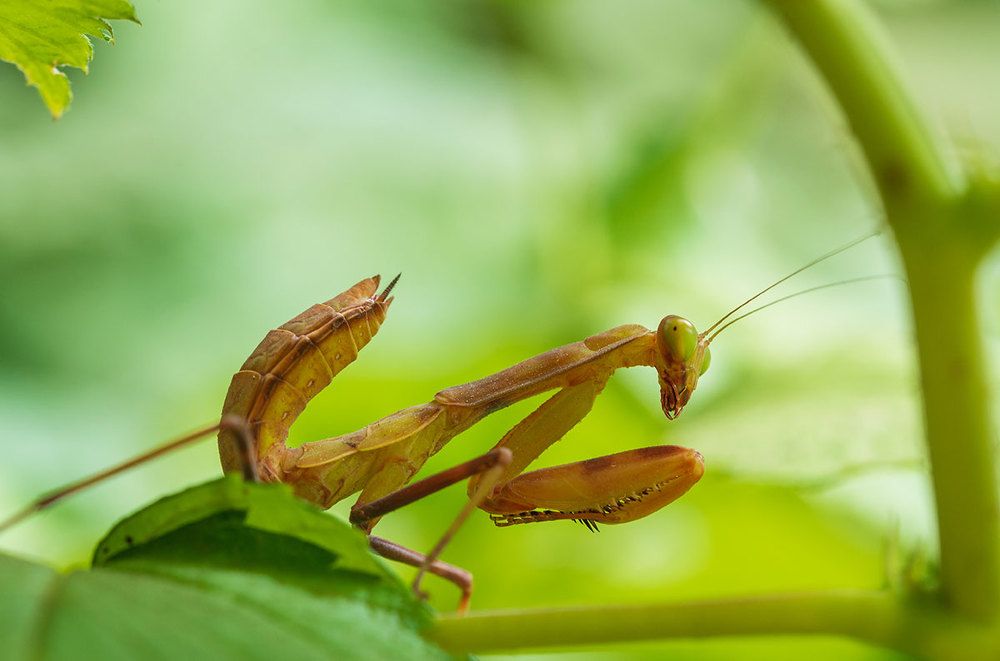 Photograph by Inga Tokar