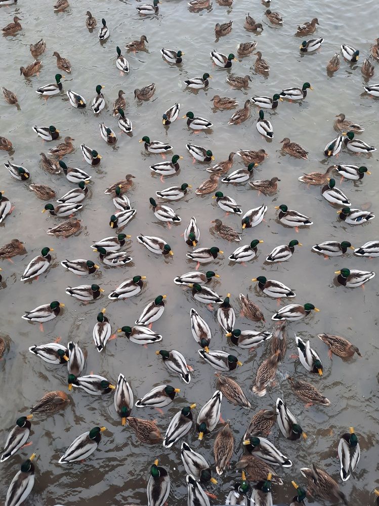 Photograph by Светлана Лебедева