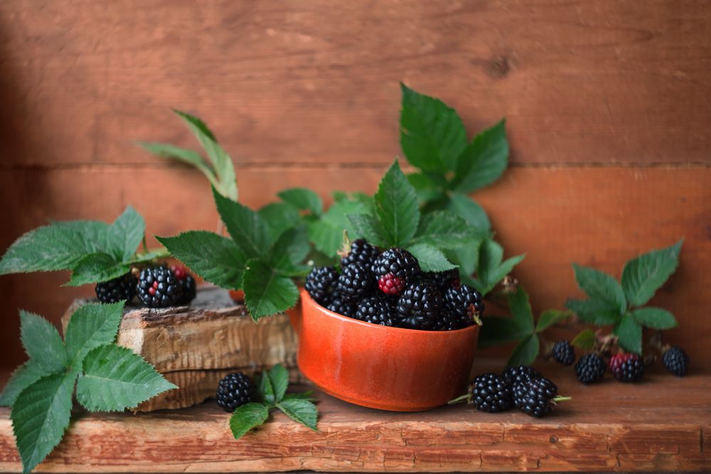 Photograph by Анжелика Королева