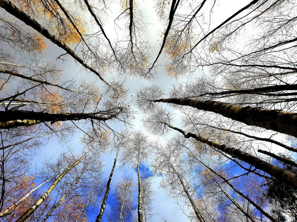 Photograph by Светлана