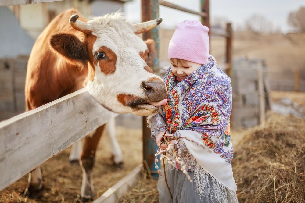 Ты меня не бойся!