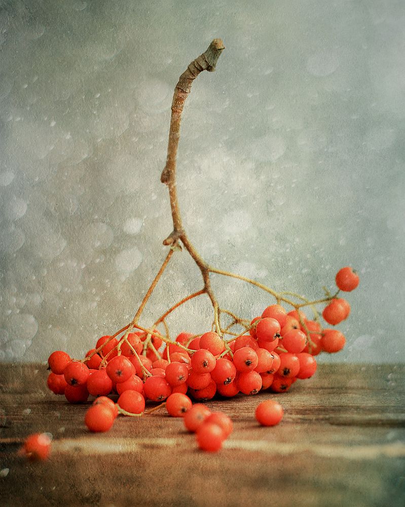 Photograph by Дмитрий Чернин