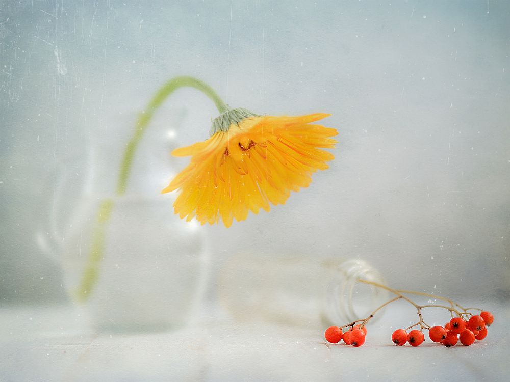 Photograph by Дмитрий Чернин