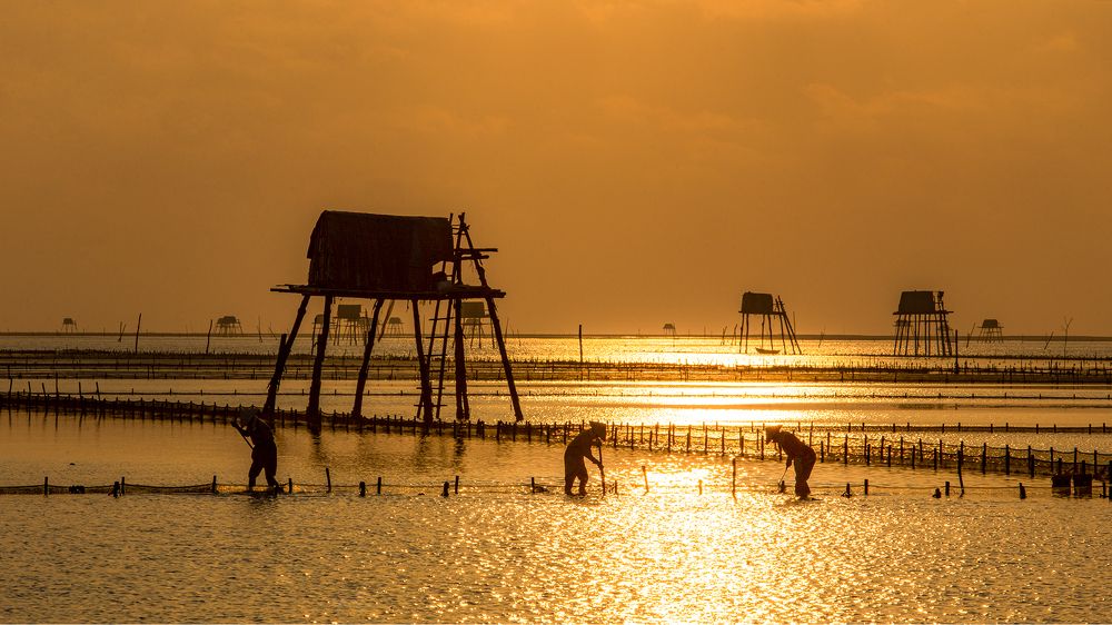 Фотография автора Đào Cảnh