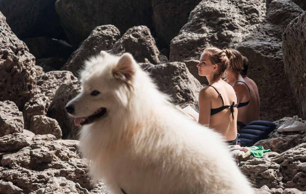 Photograph by Виктор Черкасов