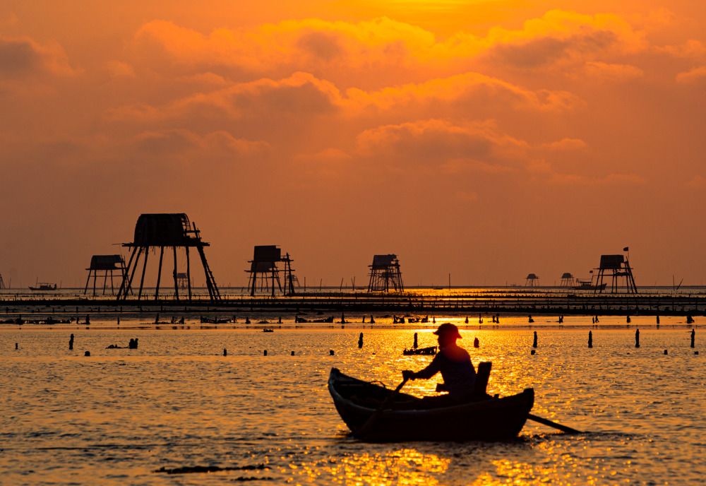 Фотография автора Đào Cảnh