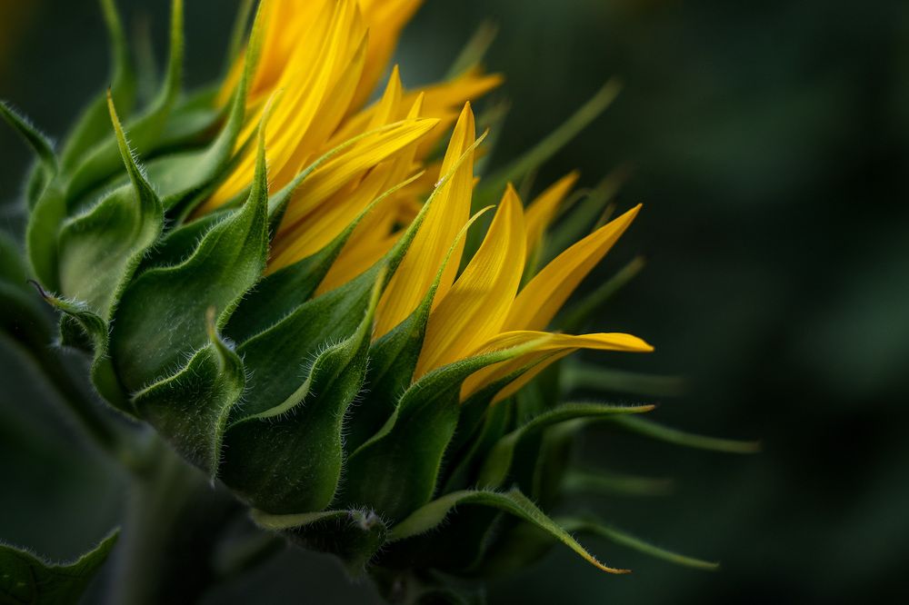 Photograph by Тамара Андреева