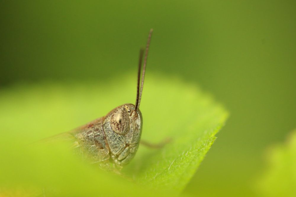 Photograph by Aman Sarda