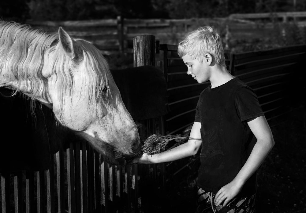 Мальчик и  конь