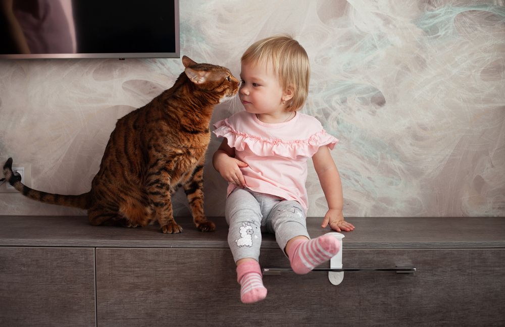 Photograph by Марина Рукавичко