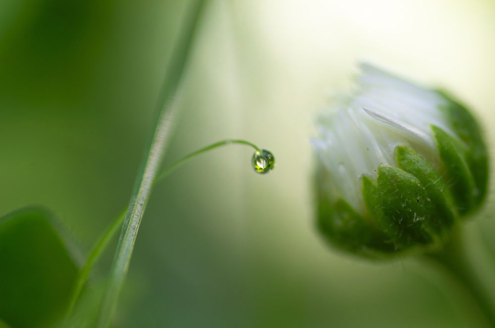 Photograph by Максим Захаров