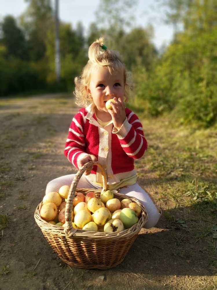 Photograph by Андрей