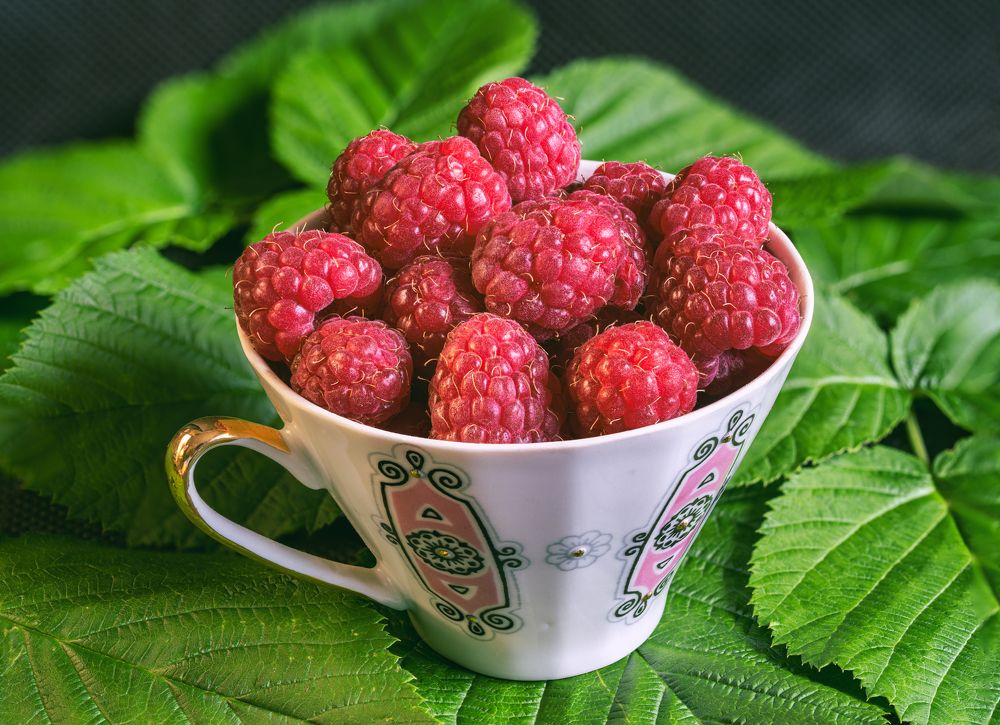 Photograph by Aleksandr Belov