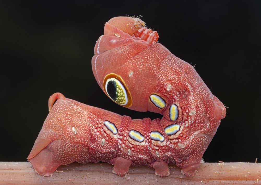 Photograph by Soon Teong Low