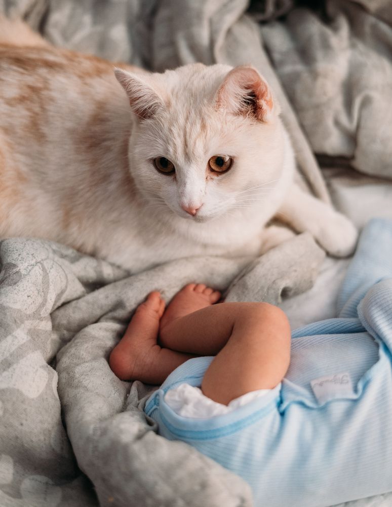 Фотография автора Дарья Воронина