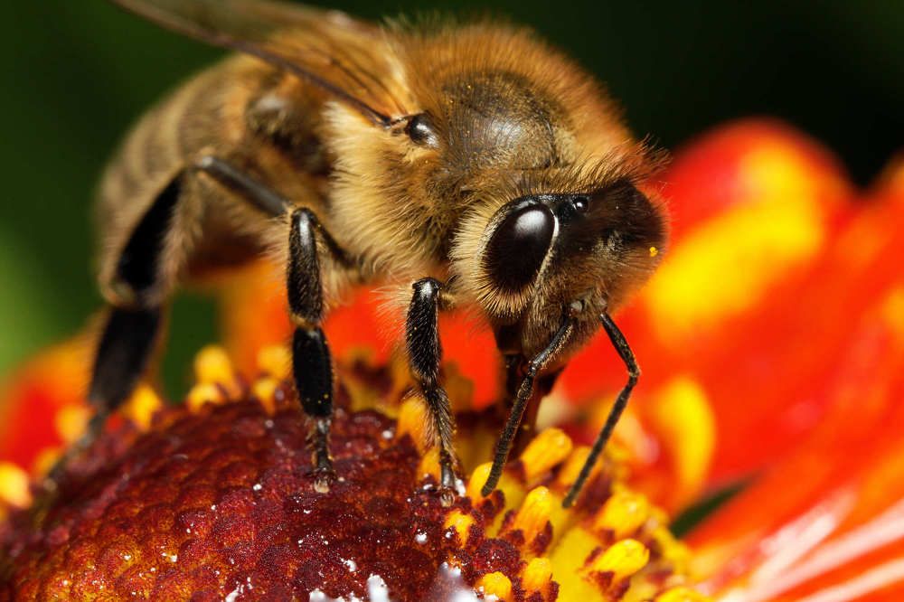 Photograph by Виктор Ноговицин