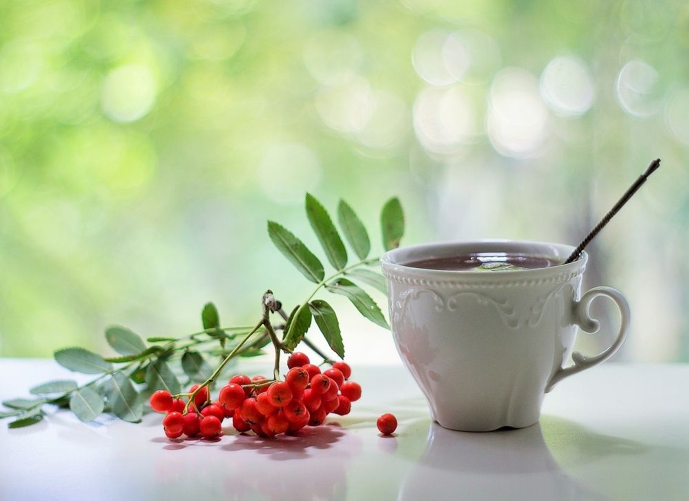 Photograph by Александра Шайдурова